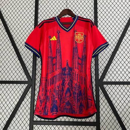 Acceso a proveedor de camisetas de fútbol